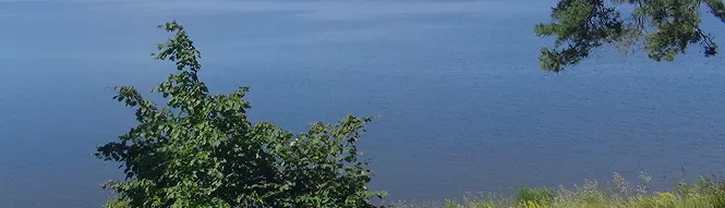 banner_img